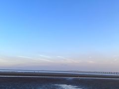 -南汇新城海滩