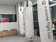 -EFL巴西柔术·综合格斗·泰拳·少儿体能训练(虹桥德必馆)