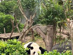 -南宁市动物园