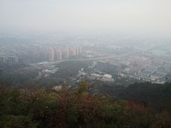 -杭州半山国家森林公园