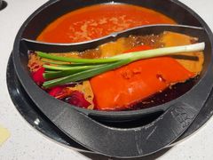 -园里火锅(仁和新城店)