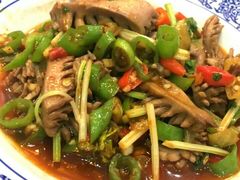 -龙小海荆沙鸽子店(瑞安街店)