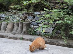 -北京上方山国家森林公园