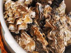 高压锅生蚝-鲜螺湾(鹏欣丽都店)