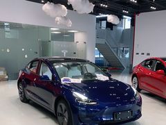 -TESLA 特斯拉(深圳观澜特斯拉直营钣喷中心)
