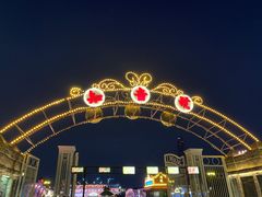 -武汉知音号