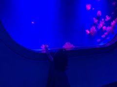 -福州罗源湾海洋世界旅游区