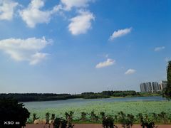 -丁香湖公园