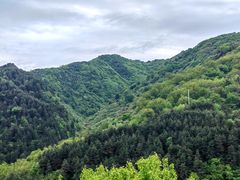-王顺山国家森林公园