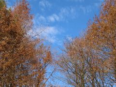 -山王坪喀斯特国家生态公园