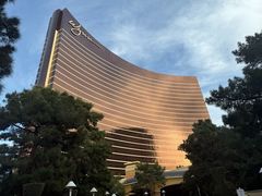 -拉斯维加斯永利酒店