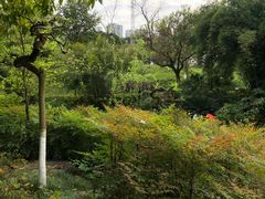 -龙头寺公园