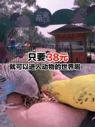 -萌宠亲子动物乐园(槐房万达店)