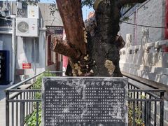 -华清宫景区-老母殿