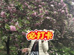 -洛阳市隋唐城遗址植物园