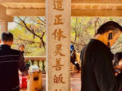 -草庵摩尼教遗址公园