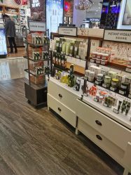 -Origins悦木之源