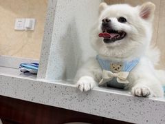 -思琪宠物医院(昆山花桥店)