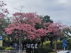 -厦门高崎国际机场-T3航站楼
