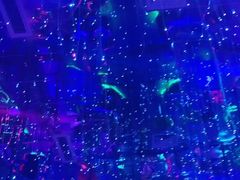 -泉城欧乐堡海洋极地世界