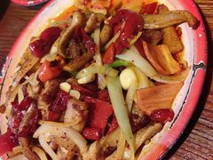 -柴窝堡22号辣子鸡·传承新疆菜