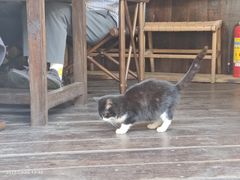 -素描餐厅(灵隐天竺店)