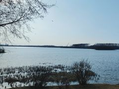 -丁香湖公园