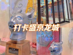 -中街·盛京龙城