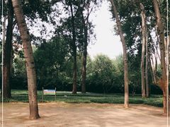 -仁和公园(顺义区)