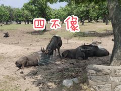 -西安秦岭野生动物园