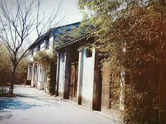 -田园东方蜜桃村的田野营地