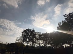 -上海大学宝山-图书馆