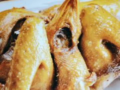 -陶缘一号·四季缘·老字号顺德菜·户外婚礼家宴(西滘店)