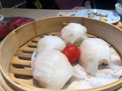 -点都德(千灯湖环宇城店)
