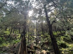 -泰山风景名胜区