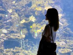 -江和美海洋公园