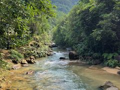 -广州白江湖森林公园