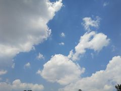 -岳姥姥饺子(泺文路店)