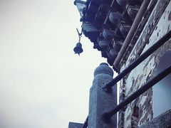 -巢湖姥山岛