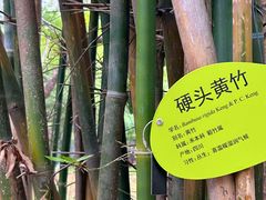 -晓港公园