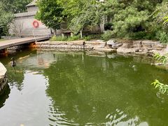 -三里河公园