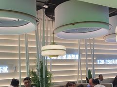 -洪氏嗨捞·广东猪肚鸡·椰子鸡火锅(西咸万象城店)