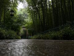 -云栖竹径