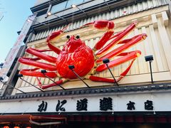 -蟹道乐(道顿堀本店)