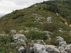 -长虫山生态公园风景林
