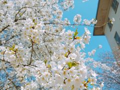 -山东师范大学(千佛山校区)