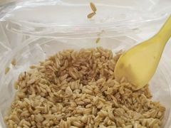 -胖子鱼·天水麻辣鱼火锅(秦州407店)