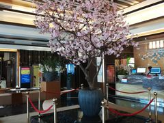 -东方之珠洗浴休闲广场(南开店)
