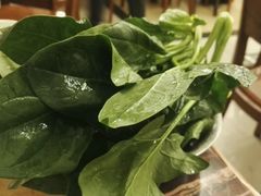 菠菜-月圆火锅(宁海东路二店)