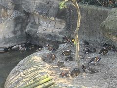 -杭州野生动物世界
